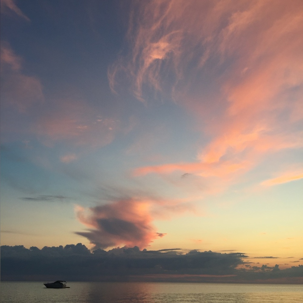 Meet your Posher, Kelsie